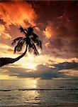 Sunset, Anse Takamaka, island of Mahe, The Seychelles, Indian Ocean, Africa