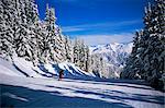 Skieur sur la piste, Courchevel, Trois Vallees, Haute-Savoie, Savoie, France, Europe