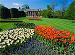 Tulipes et l'Orangerie, Kensington Palace, Kensington Gardens, Londres, Royaume-Uni