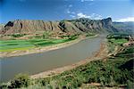 Champs de viol et de l'orge par l'Ho Hwang, fleuve jaune, à Lajia, Province de Qinghai, Chine