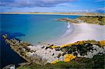 La baie sur la côte près de Stanley, îles Falkland