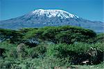 Mont Kilimandjaro, en Tanzanie, Afrique de l'est, Afrique