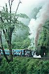 Steam train on the way to Darjeeling, West Bengal state, India, Asia