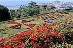 Jardim Botanico (botanische Gärten), Funchal, Madeira, Portugal, Atlantik, Europa