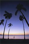 Grand Anse Strand bei Sonnenuntergang, Grenada, Windward-Inseln, Karibik, Caribbean, Mittelamerika