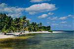 Wichtigsten Tauchplatz in Ambergris Caye, Belize, Belize, Mittelamerika