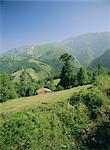 Sierra Dobros, Picos de Europa mountains, (Green Spain), Asturias, Spain