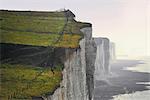 Chalk cliffs from clifftop path, Ault, Picardy, France, Europe