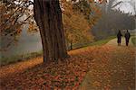 Couple se promenant dans les jardins de Jephson en automne, Leamington Spa, Warwickshire, Midlands, Angleterre, Royaume-Uni, Europe