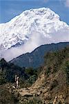 Trekking en route to Anapurna, Himalayas, Nepal, Asia