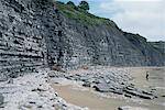 Sedimentary rocks, blue lias, shale-limestone sequences, Lyme Regis, Jurassic coast, UNESCO World Heritage Site, Dorset, England, United Kingdom, Europe