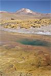 El Tatio geyser basin on altiplano, boiling pool with algal colour zoning, Atacama Desert, Chile, South America