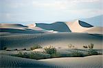 Dunes de sable sur fond de vallée, Death Valley, California, États-Unis d'Amérique (États-Unis d'Amérique), Amérique du Nord