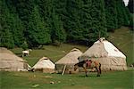 Yourtes et chevaux près de lac Tianche dans la Province de Xinjiang, Chine, Asie