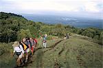 Randonneurs commençant trek jusqu'à Mont Meru, Parc National d'Arusha, en Tanzanie, Afrique de l'est, Afrique