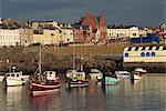 Fishing boats moored in harbour, Portrush, County Antrim, Ulster, Northern Ireland, United Kingdom, Europe