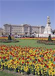 Buckingham Palace, London, England, United Kingdom, Europe