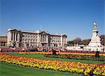 Buckingham Palace, London, England, United Kingdom, Europe