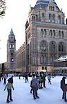 Christmas, Natural History Museum, Kensington, London, England, United Kingdom, Europe