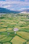 La vallée de l'Indus du monastère à Thikse (Tikse), Ladakh, Inde, Asie