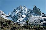The peaks of Mt. Kenya, seen from the Teleki Valley, with ranger station in foreground, Kenya, East Africa, Africa