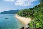 Découvre le long de la côte, de Nazri plage et forêt tropicale humide, Air Batang Bay, Pulau Tioman, Pahang Marine Park, Pahang, Malaisie, Asie