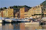 View across the harbour at sunrise, Santa Margherita Ligure, Portofino Peninsula, Liguria, Italy, Europe