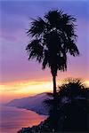 Coucher de soleil, Camogli, vue de l'ouest le long de la péninsule de Portofino, Ligurie, Italie, Europe