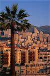 Immeubles de grande hauteur au lever du soleil, palmier au premier plan, La Condamine, Monaco, Europe