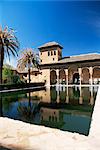 Palacio del Partal reflected in pool, Alhambra, UNESCO World Heritage Site, Granada, Andalucia (Andalusia), Spain, Europe