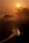 The Eden Valley at sunrise, near Edenbridge, Kent, England, United Kingdom, Europe