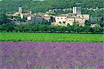 Field of lavender and village of Montclus behind, Gard, Languedoc-Roussillon, France, Europe