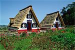 Old thatched farmhouses in gardens at Santana, Madeira, Portugal, Europe