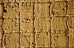 Sculptures mayas sur la stèle, Tikal, au Guatemala, l'Amérique centrale