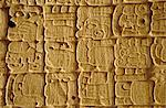 Mayan carvings on Stela, Tikal, Guatemala, Central America