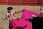 Bullfighter, bull and cape, New Fairs, Ponte de Lima, Minho, Portugal, Europe