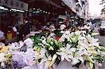 Lys blancs, marché aux fleurs, Mong Kok, Kowloon, Hong Kong, Chine, Asie