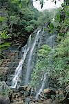 Beauchamp Falls, Blue-Mountains-Nationalpark, UNESCO World Heritage Site, in der Nähe von Blackheath, New South Wales (NSW), Australien, Pazifik