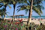 Palmiers et touristes, plage de Bakau, la Gambie, l'Afrique de l'Ouest, l'Afrique