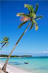 Punta Cana, Dominican Republic, West Indies, Central America