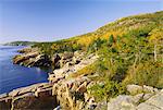 Acadia national park coastline, Maine, New England, United States of America, North America