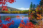 Fall colours, Moose Pond, with Mount Pleasant in the background, Maine, New England, United States of America