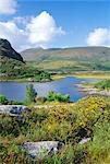 Ring of Kerry between Upper Lake and Muckross Lake, Killarney, County Kerry, Munster, Republic of Ireland (Eire), Europe