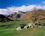 Langdale Pikes from Great Langdale, Lake District National Park, Cumbria, England, United Kingdom, Europe