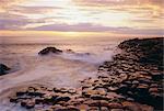 Der Giant's Causeway, Grafschaft Antrim, Ulster, Nordirland, Vereinigtes Königreich, Europa