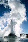 Castle Geyser, Upper Geyser Basin, Yellowstone National Park, UNESCO World Heritage Site, Wyoming, United States of America (U.S.A.), North America