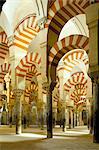 La grande mosquée, patrimoine mondial de l'UNESCO, Cordoue, Andalousie (Andalousie), Espagne, Europe