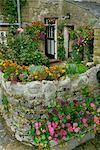 Détail de la maison et jardin, Yorkshire, Angleterre, Royaume-Uni, Europe