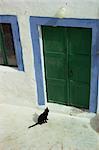 Eine kleine schwarze Katze wartet auf eine traditionell eingerichtete Tür, Santorini (Thira), Kykladen, griechische Inseln, Griechenland, Europa