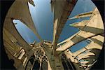 Fish eye lens view of the flying butresses of Notre Dame Cathedral, Paris, France, Europe